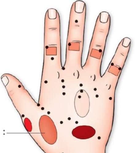 手掌降血壓穴道全攻略：5大關鍵穴位按摩技巧與實證效果