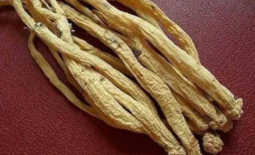 黨蔘功效與禁忌全解析：養生必看正確吃法與注意事項