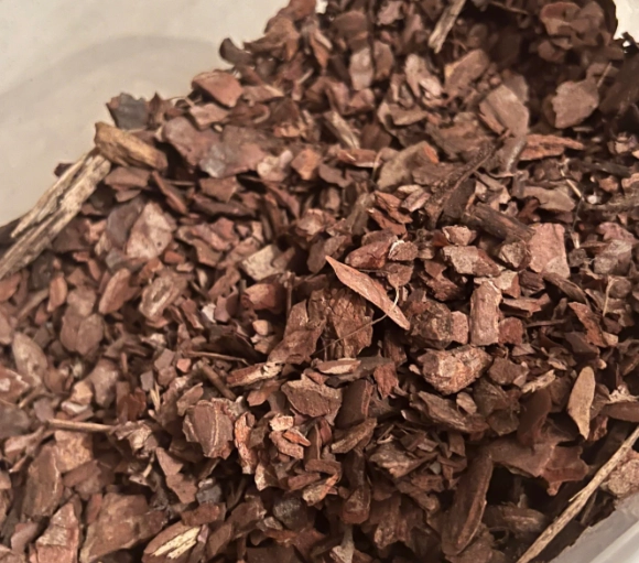 松樹皮副作用全解析：安全使用指南與風險避免策略