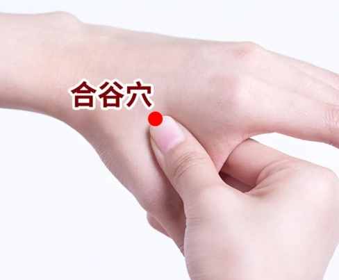 快速降血壓穴道全攻略：5大關鍵穴位按壓技巧與注意事項