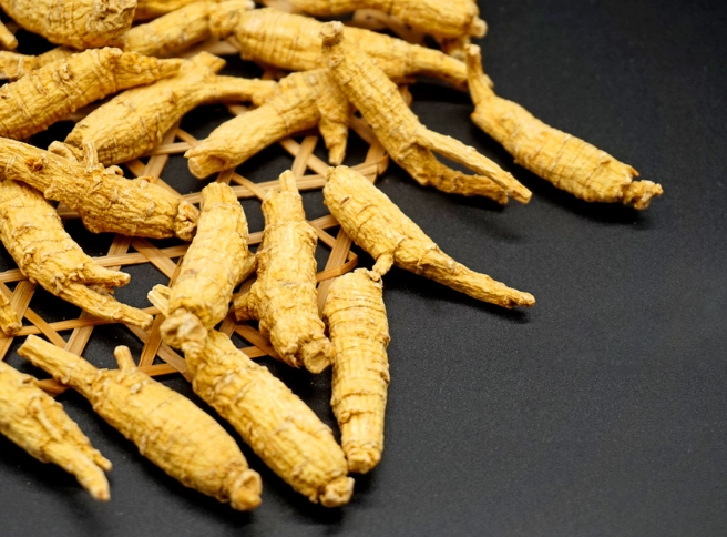 西洋蔘功效與禁忌完整指南：好處、風險與實用建議