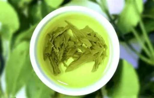 每天喝綠茶會怎樣？完整優缺點分析與實用指南