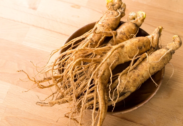 人蔘花旗蔘終極指南：功效、區別與實用選購技巧