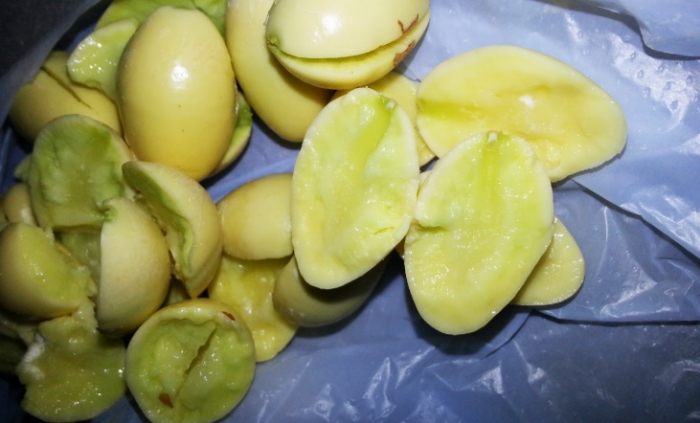 白果芯有毒嗎？完整解析毒性真相與安全食用全攻略