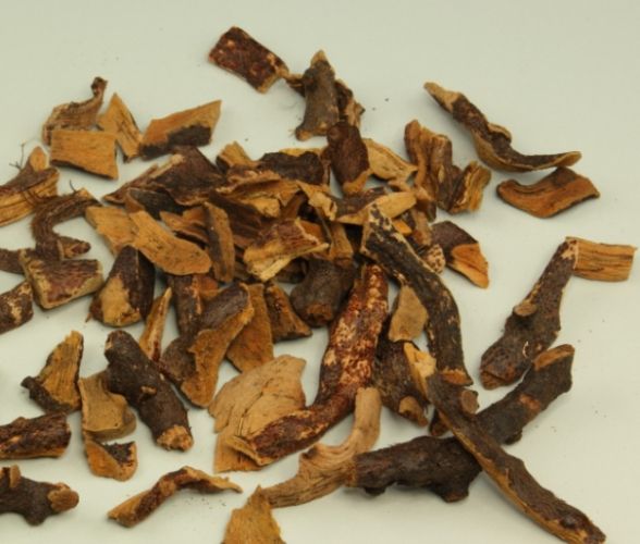 續斷用法全攻略：功效、禁忌與實用技巧深度解析