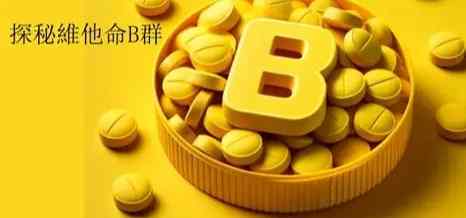 維他命b群功效