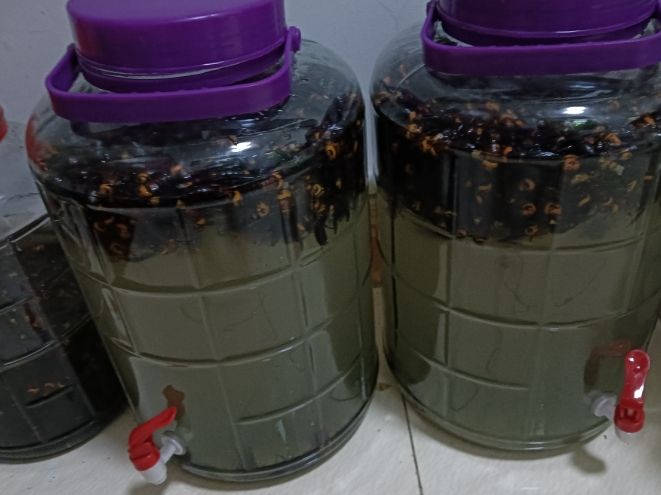 熟地泡酒完整教學：功效、做法與禁忌全解析