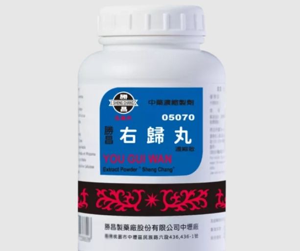 右歸丸金匱腎氣丸功效解析：腎虛補養的傳統智慧與現代應用