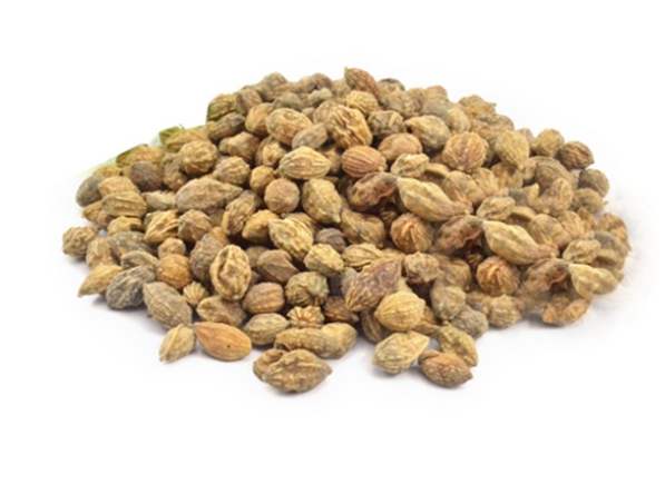 益智仁泡水全攻略：功效、做法與注意事項一次看懂