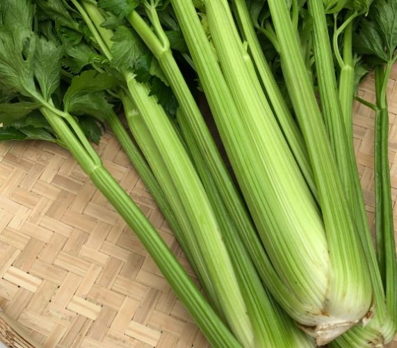 西芹苗營養全解析：驚人健康益處與實用指南