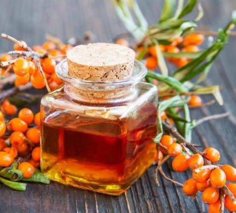 沙棘油功效
