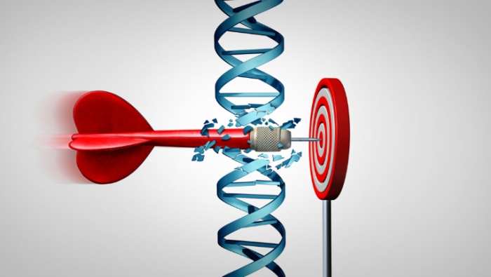 政府標靶藥費用