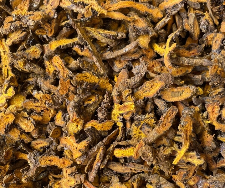 黃連可以每天吃嗎