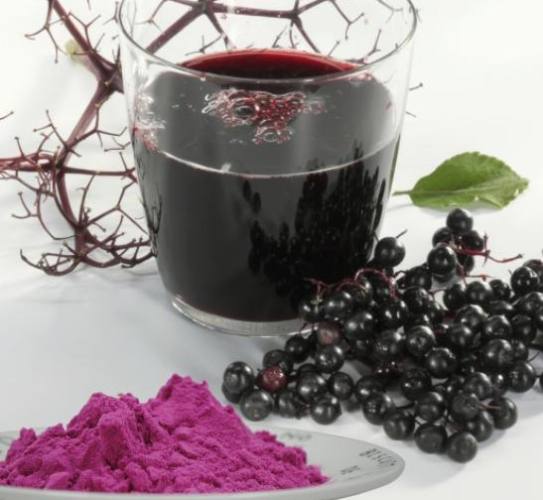 接骨木莓粉完整指南：好處、用法與挑選秘訣大公開