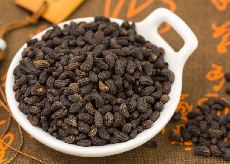 女貞子功效主治