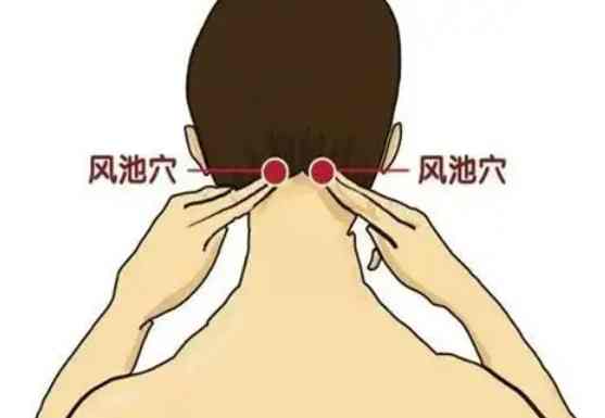 風池穴位置全攻略：精準定位技巧與按摩教學（解決頭痛失眠）