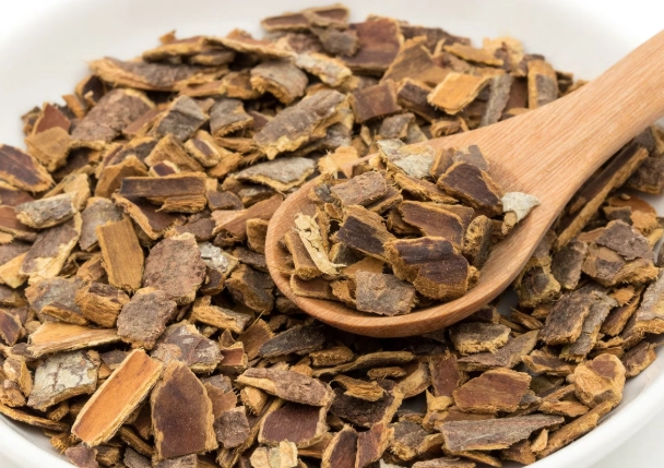 松樹皮好轉反應全攻略：症狀、持續時間與應對方法完整解析