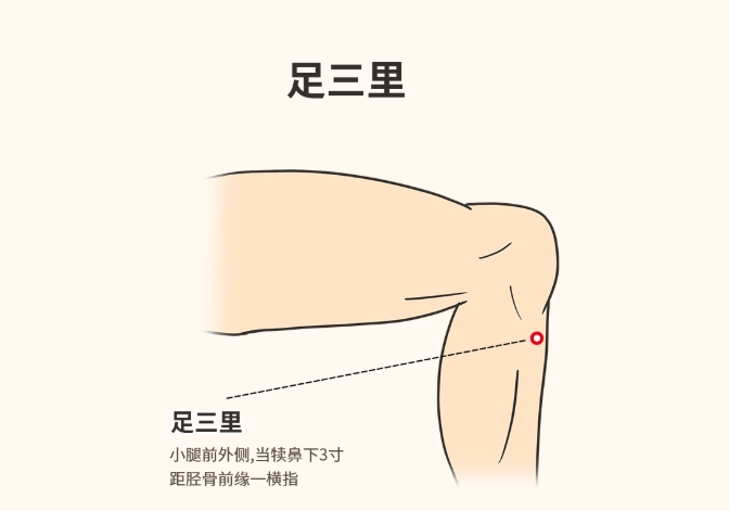 足三里酸痛原因全解析：從經絡阻塞到生活習慣的深度探討