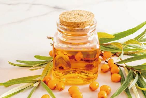 沙棘果油副作用全解析：常見不良反應與安全使用指南