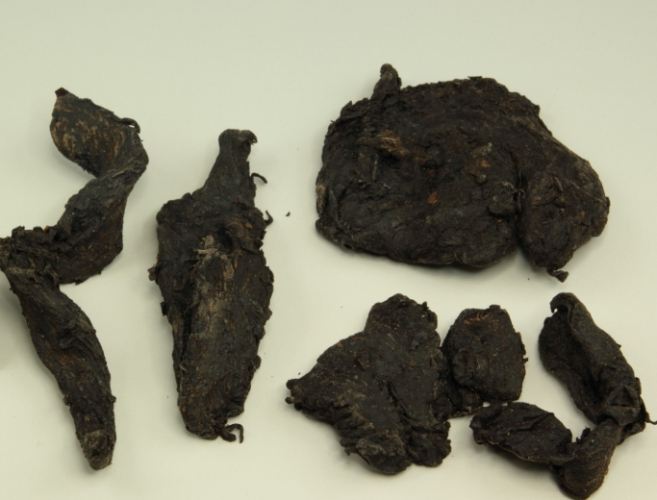 肉蓯蓉副作用全解析：安全使用指南與風險預防