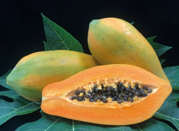 木瓜什麼時候吃最好？完整指南與實用建議