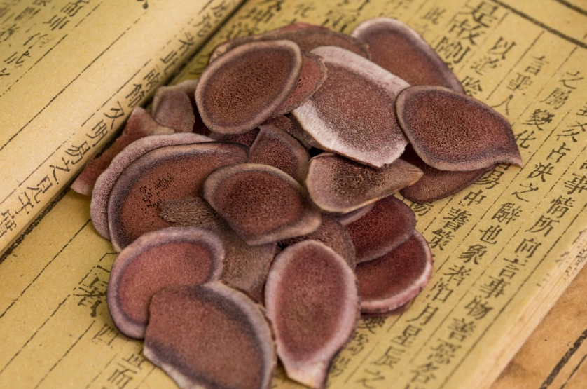 鹿茸真的有效嗎