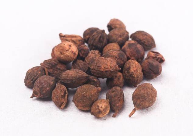 益智仁的功效全攻略：提升記憶力與身體健康的天然秘方