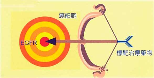 標靶治療要住院嗎