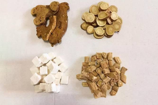 四君子湯禁忌全解析：誰不能喝？注意事項與常見問題一次看懂