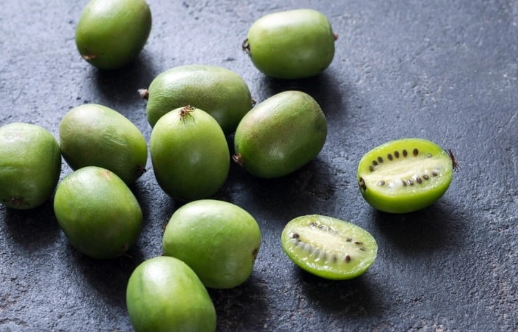 小奇異果營養全攻略：健康益處、食用秘訣與常見疑問解答