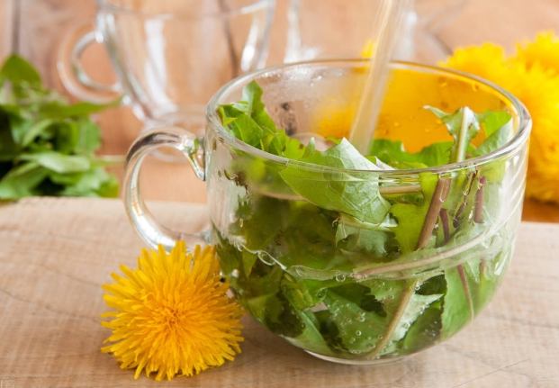 蒲公英泡水喝有什么功效？7大好处与3个禁忌完整解析