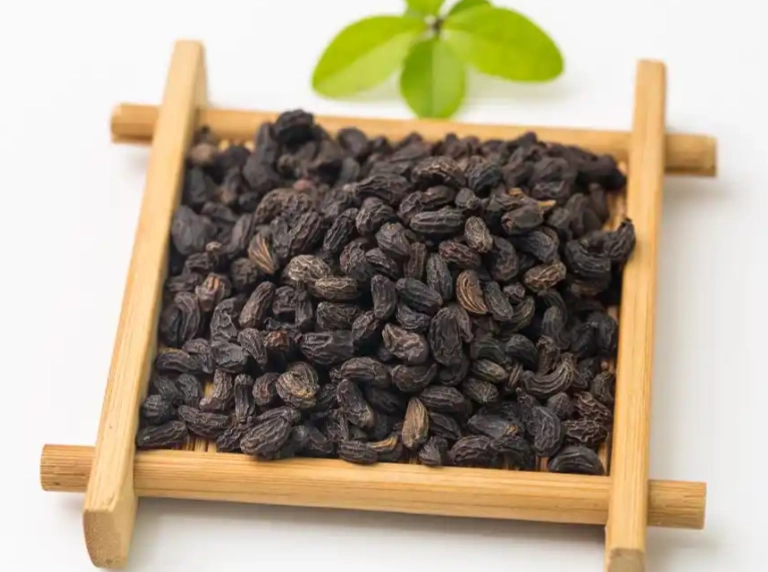 女貞子功效禁忌