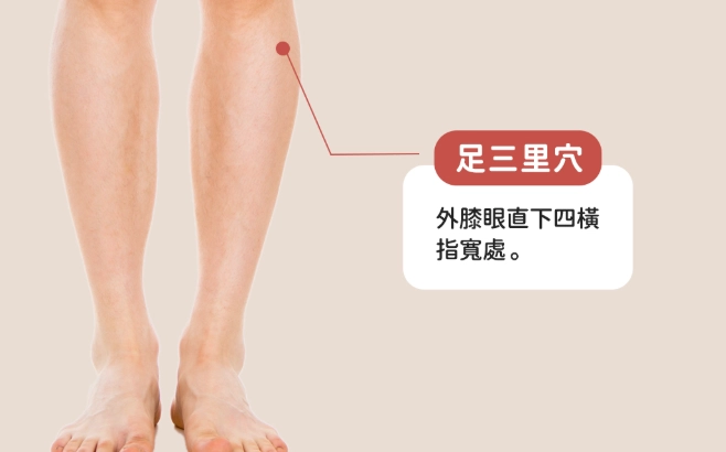 足三里主治全攻略：功效、按摩手法與疑難解答