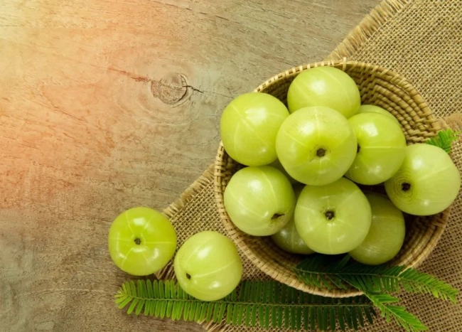 余甘子禁忌全解析：誰不該吃？副作用與注意事項一次看懂