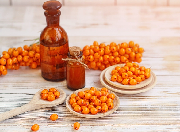 沙棘果油功效及禁忌完整指南：從美容到保健，一次搞懂怎麼用最安全