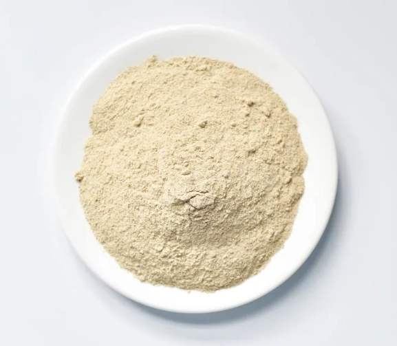 花旗蔘粉的功效全攻略：增強免疫力與改善疲勞的天然秘方