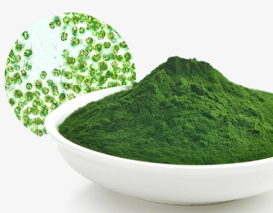 綠藻什麼時候吃