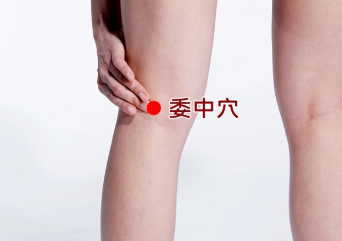 委中穴熱敷全攻略：緩解腰痛、促進循環的終極指南