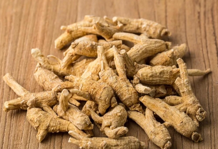 花旗參功效與禁忌