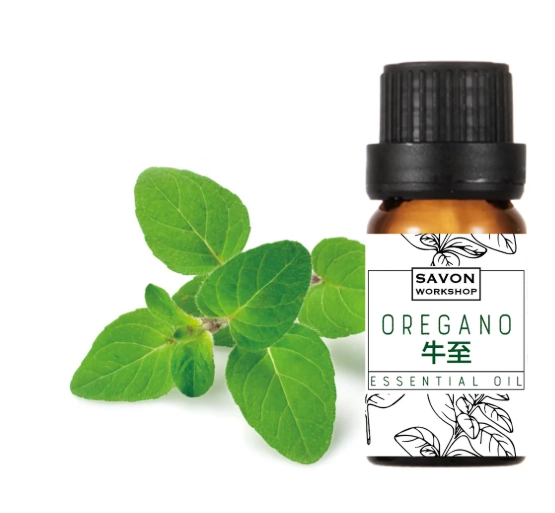 牛至精油肉芽天然療法全攻略：安全使用指南與實證效果