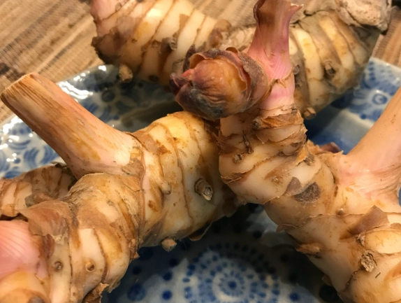 南薑用途全攻略：從料理到養生，一次搞懂南薑的多元應用