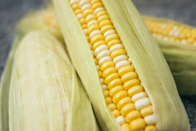 粟米健康嗎？營養師揭開玉米的營養真相與健康迷思