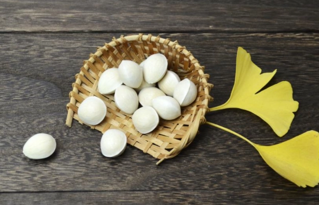 銀杏葉萃取物功效全解析：改善記憶力與循環的天然寶藏