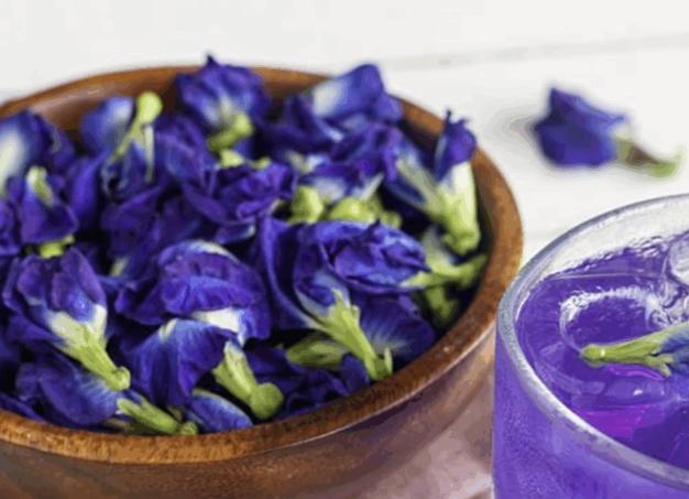 蝶豆花相剋全解析：禁忌、風險與安全食用指南