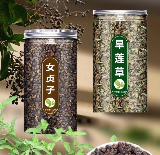 女貞子旱蓮草功效