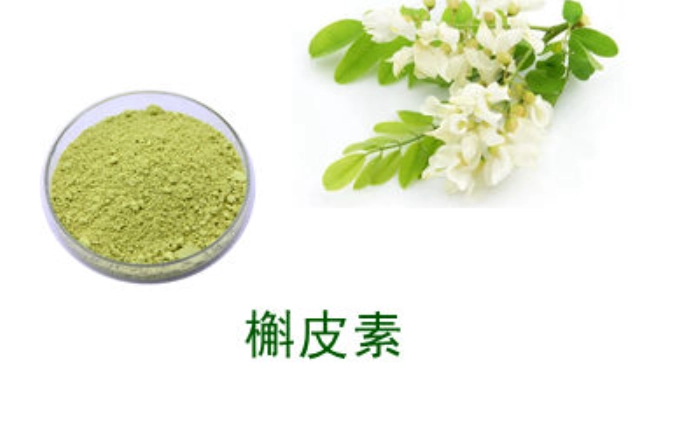 槲皮素肺部保護全攻略：天然抗氧化劑如何改善呼吸健康與實用指南