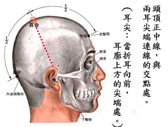 百會穴會痛怎麼辦？深入解析原因、症狀與有效緩解方法