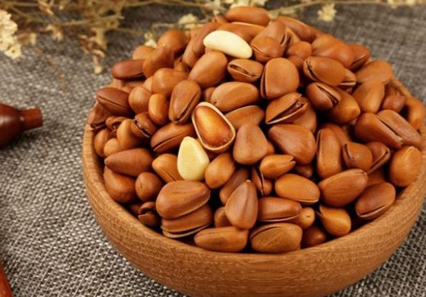 松子一天吃多少才健康？專家建議與實用指南