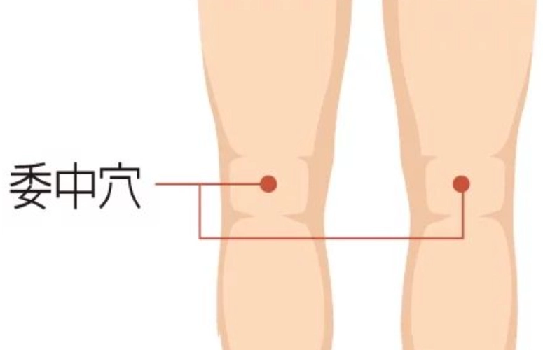 委中穴怎麼按？完整圖解教學與常見問題解答
