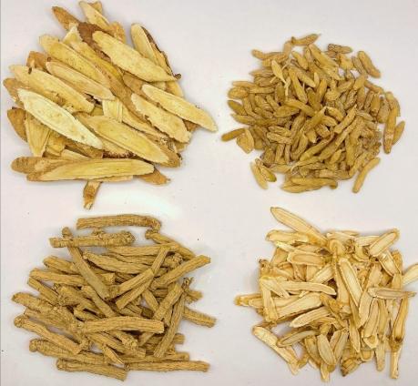 黃耆黨蔘功效全解析：補氣養血增強免疫力中醫秘方